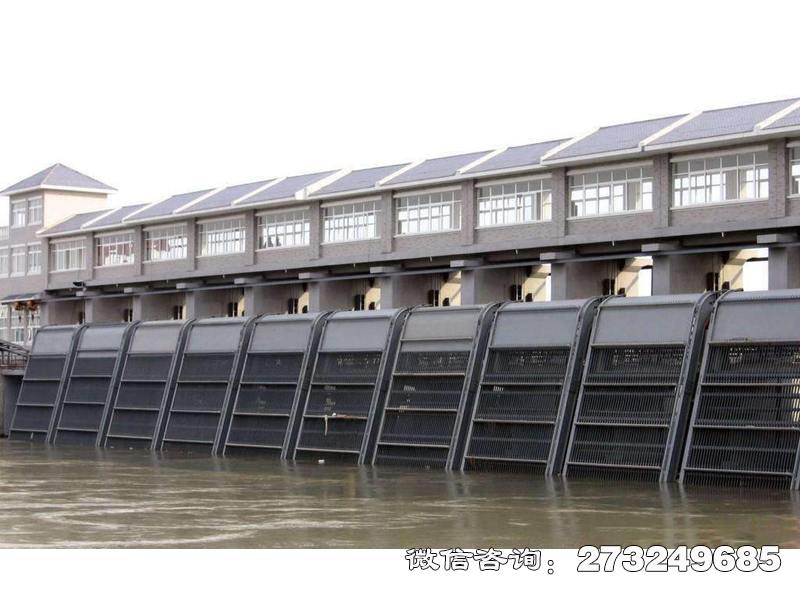 郯城县电厂拦污栅条清污机